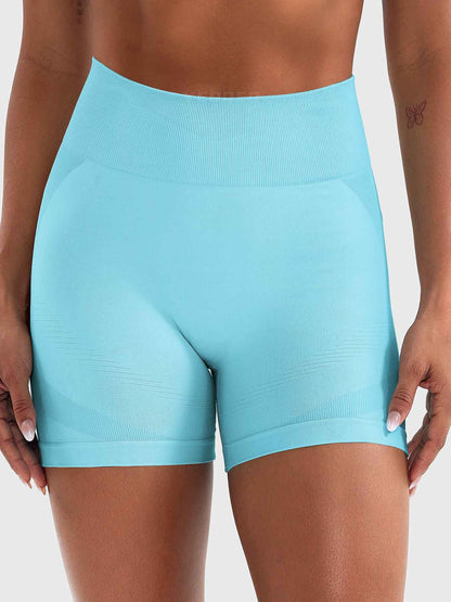 Vaeryn Lilliean 4.5" Seamless Shorts