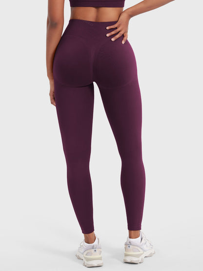 Vaeryn Lilliean 24" Seamless Leggings