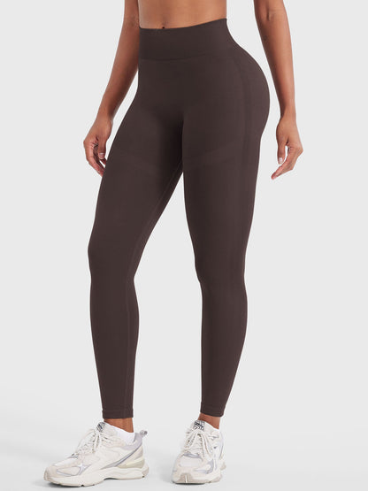 Vaeryn Lilliean 24" Seamless Leggings