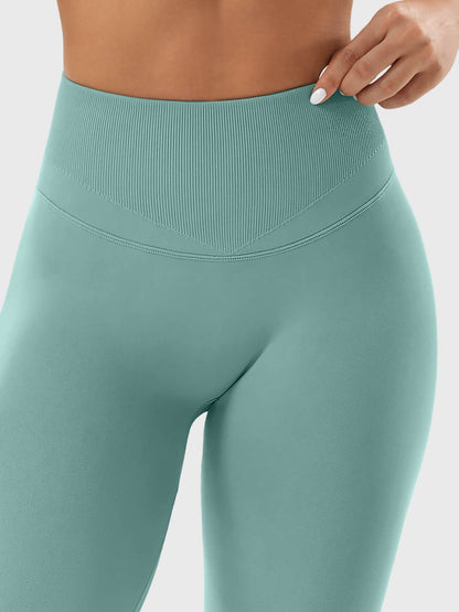 Vaeryn Patrica Seamless Leggings