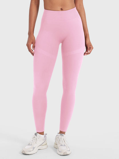 Vaeryn Lilliean 24" Seamless Leggings