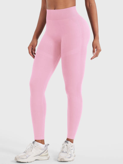 Vaeryn Lilliean 24" Seamless Leggings